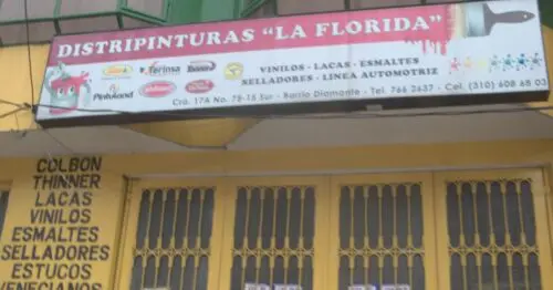 DISTRIPINTURAS LA FLORIDA DISTRIPINTURAS LA FLORIDA